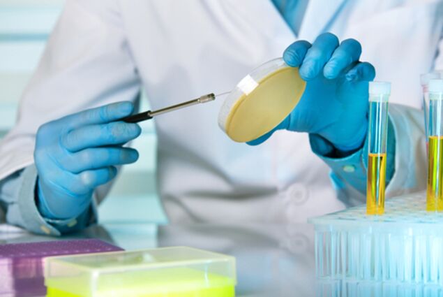 Urine culture is the most important assay in the diagnosis of prostatitis