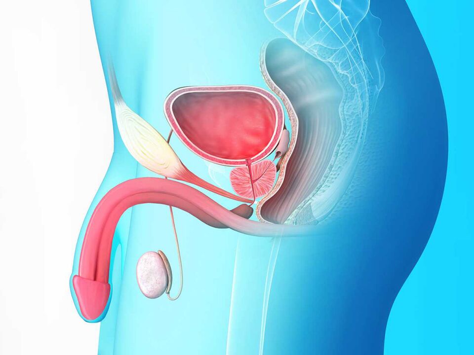 prostatitis stagnant exacerbation